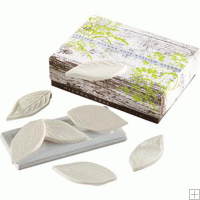 Gianna Rose Attelier Leaf Boxed Decorative Soap