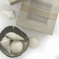 Gianna Rose Atelier Sea Shell Shaped Soaps
